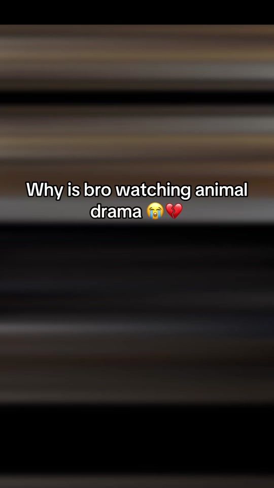 TikTok video thumbnail by manchords