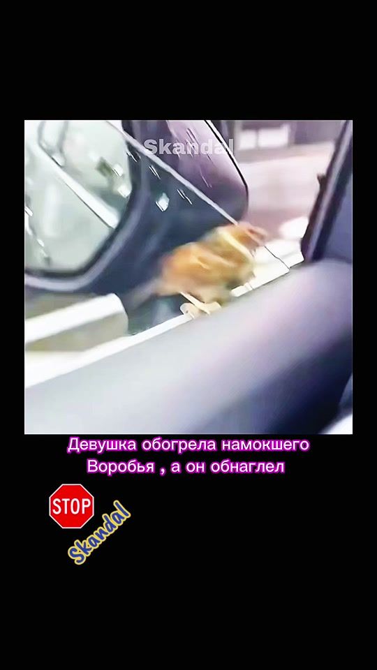 TikTok video thumbnail by skandal.24