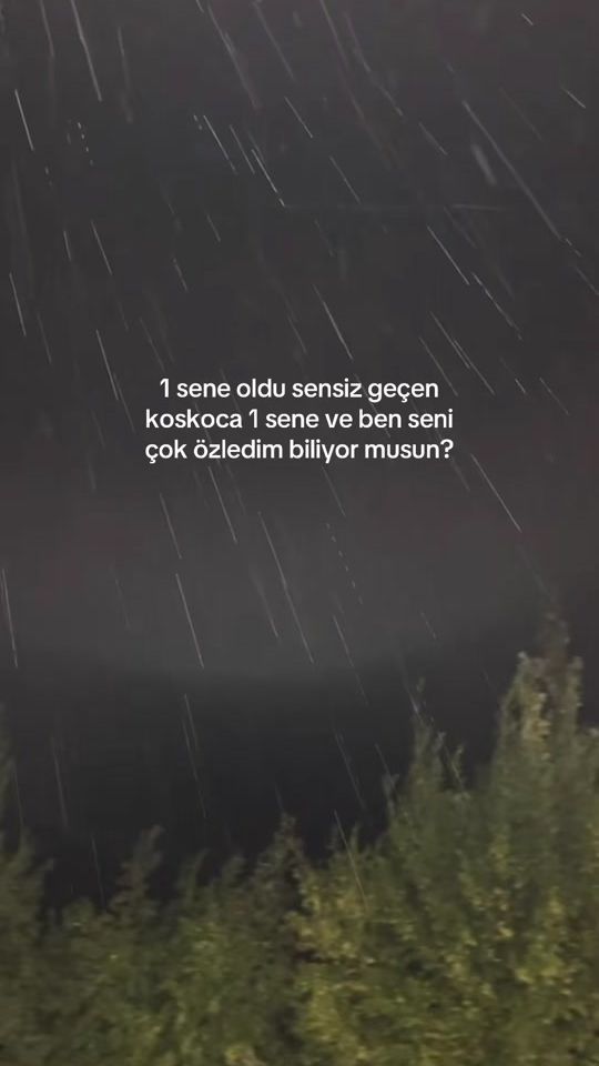 TikTok video thumbnail by useer82891