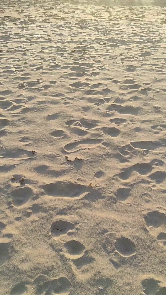 TikTok video thumbnail by uno_de_cadiz