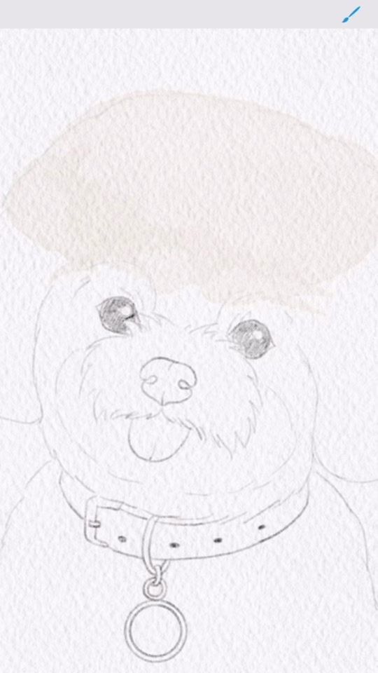 TikTok video thumbnail by julia_dreams.co