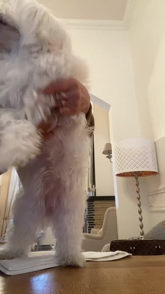 TikTok video thumbnail by iamprincess2014