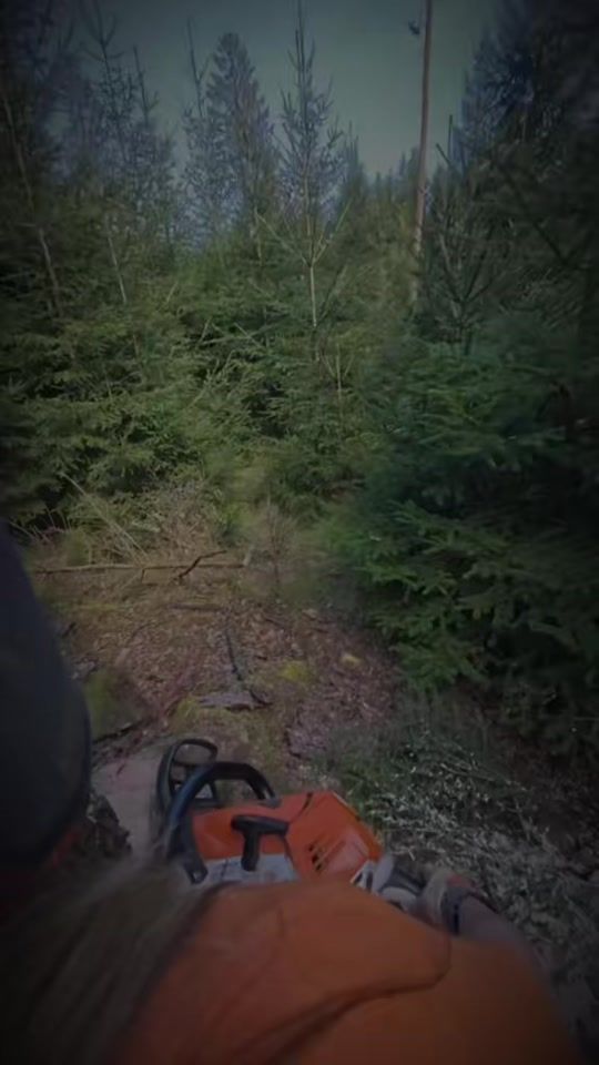 TikTok video thumbnail by lumber_caro
