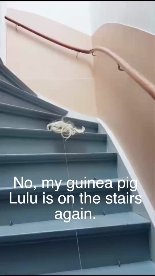 TikTok video thumbnail by joinjoyce