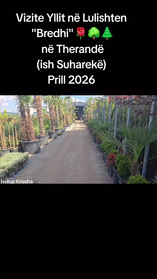 TikTok video thumbnail by nehatkrusha1