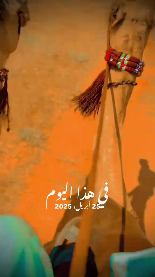 TikTok video thumbnail by rafek249