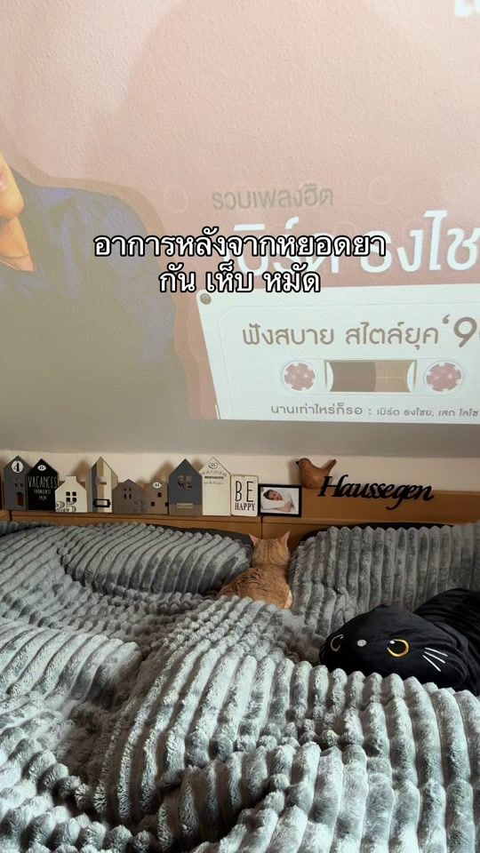 TikTok video thumbnail by mama_bee_thai_germany