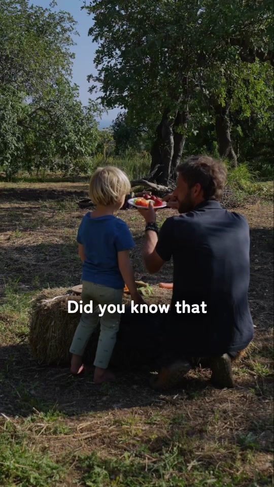 TikTok video thumbnail by thefrenchiegardener