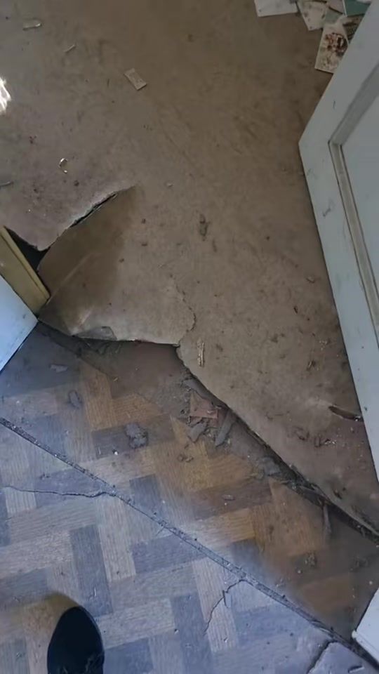 TikTok video thumbnail by liliurbex