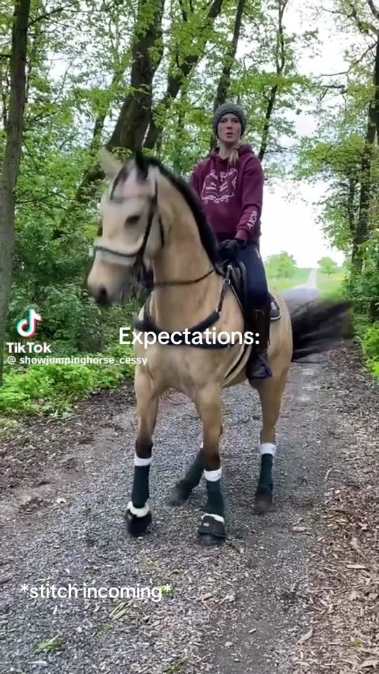 TikTok video thumbnail by equitality
