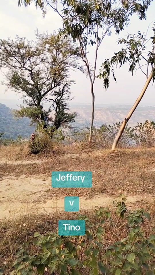 TikTok video thumbnail by the_mighty_gringos