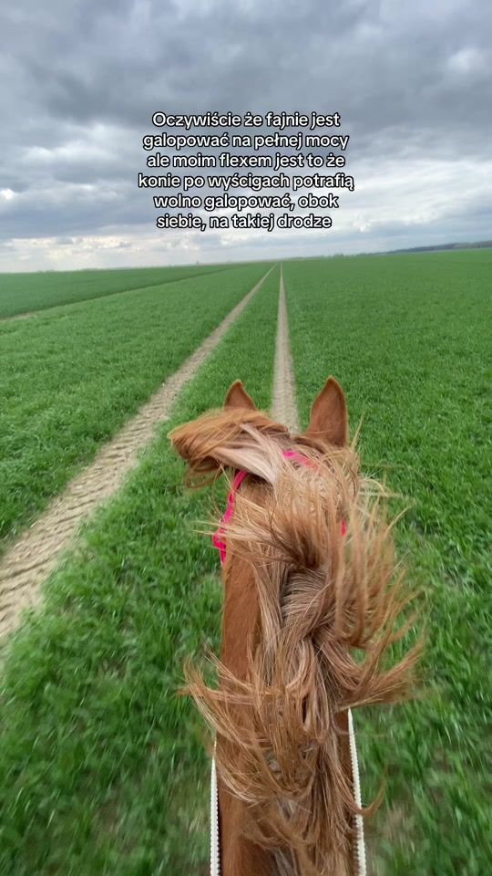 TikTok video thumbnail by jaracz