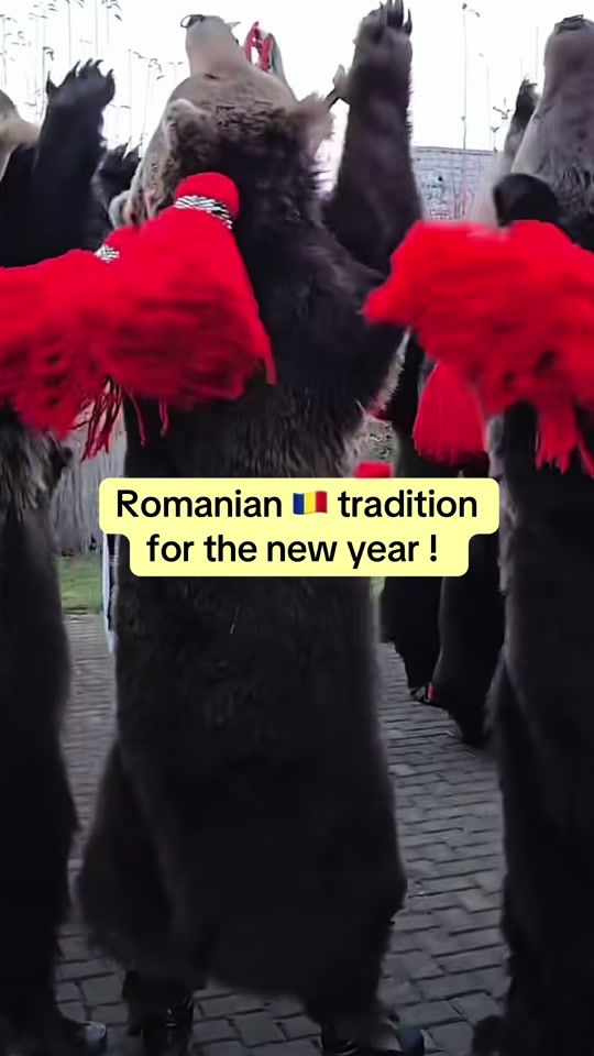TikTok video thumbnail by kristal_cojocaru