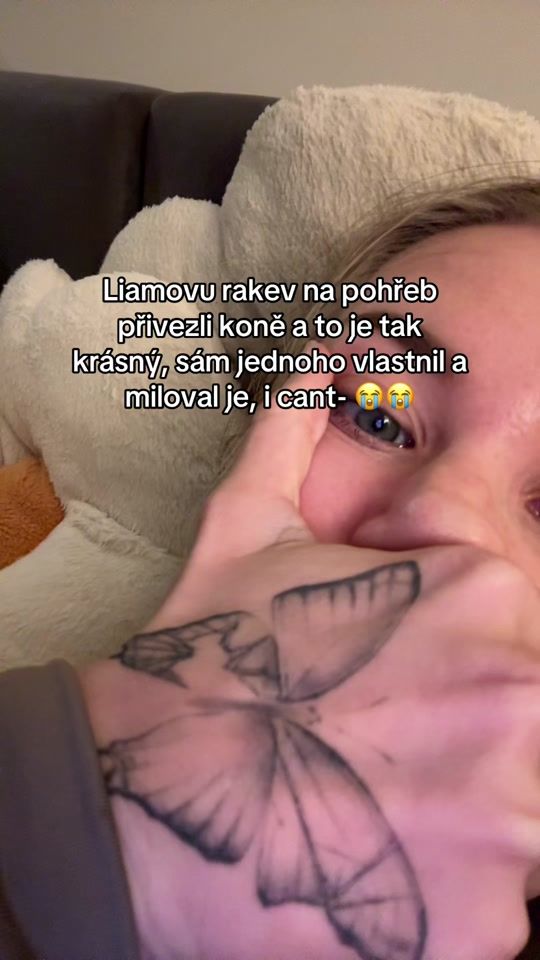 TikTok video thumbnail by _anittab