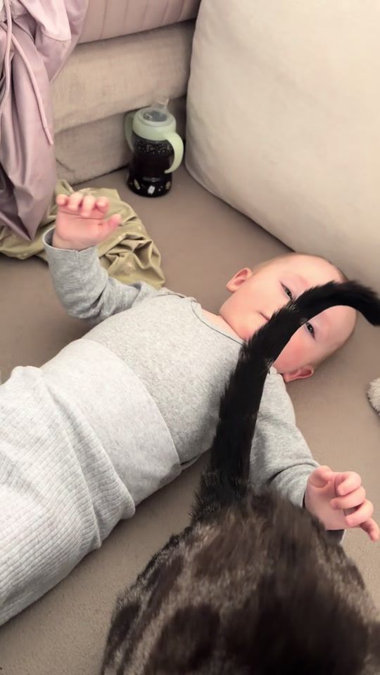 TikTok video thumbnail by celina.brychcy