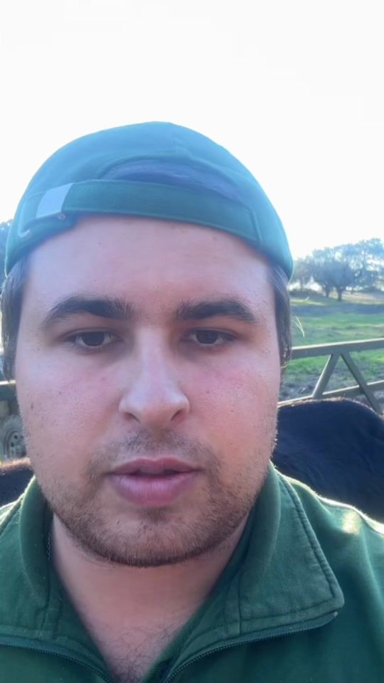 TikTok video thumbnail by agroalentejanopt