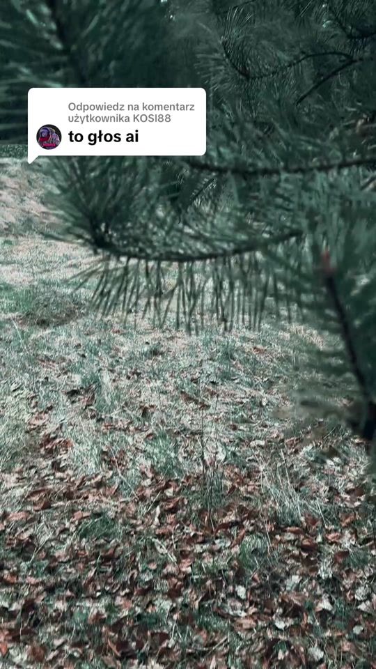 TikTok video thumbnail by asa_bay_
