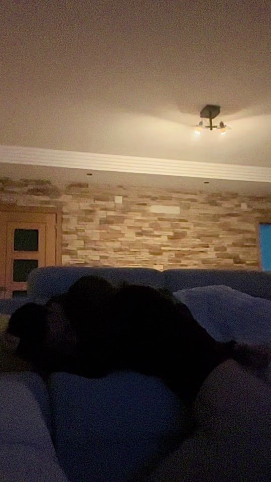 TikTok video thumbnail by idaliamercier_