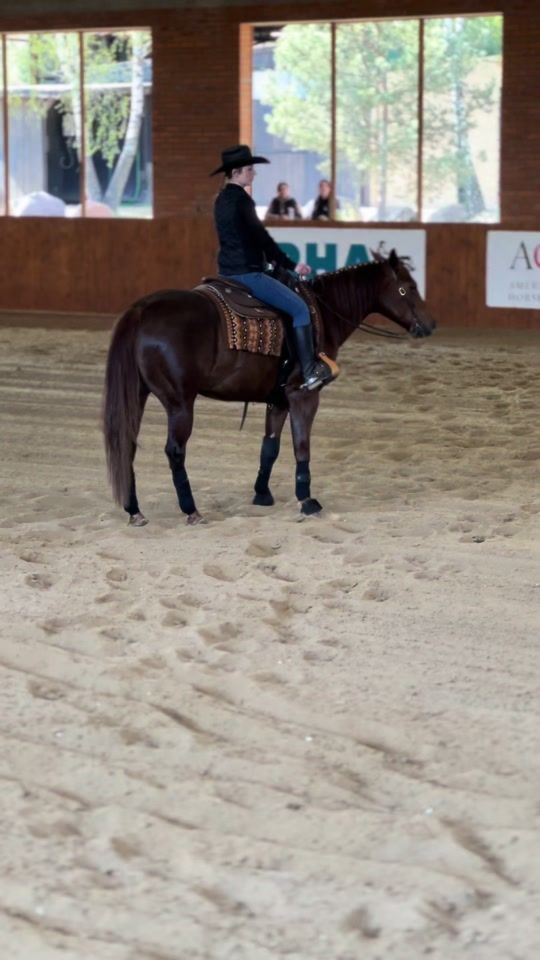 TikTok video thumbnail by pmhorsemanship
