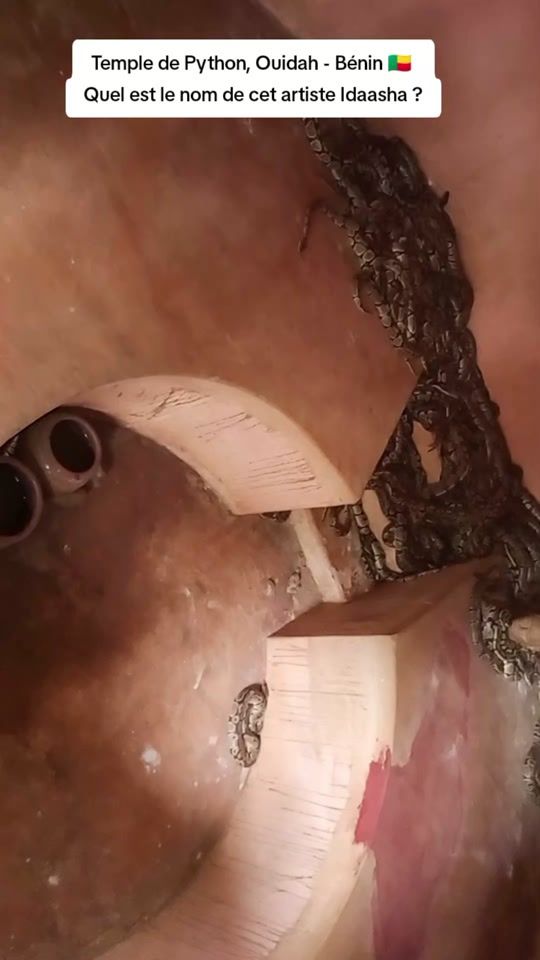TikTok video thumbnail by kochisso
