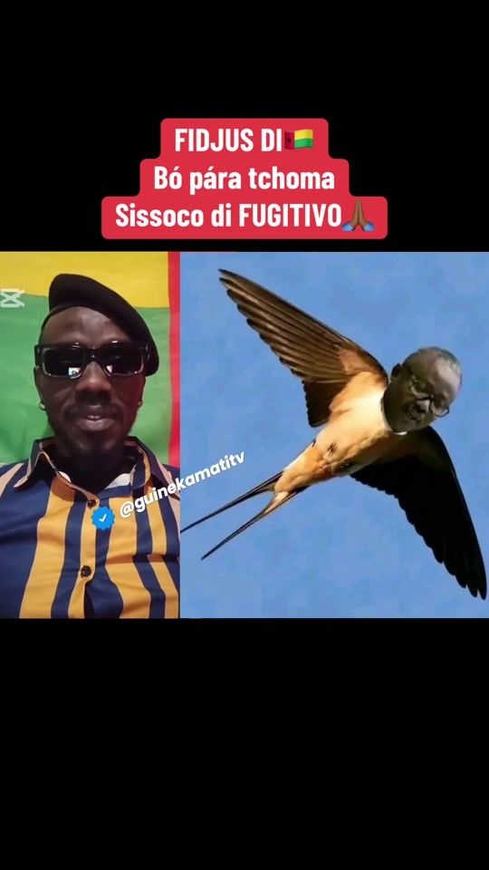 TikTok video thumbnail by guinekamatitv