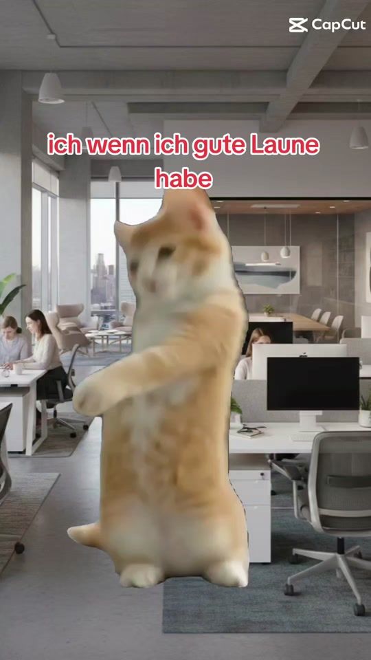 TikTok video thumbnail by user8013082575752