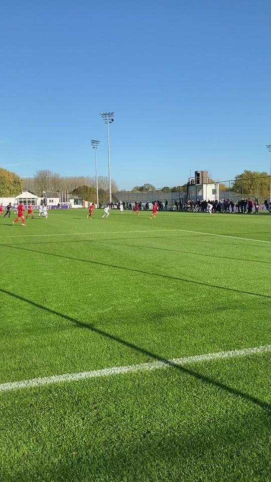 TikTok video thumbnail by rscanderlecht