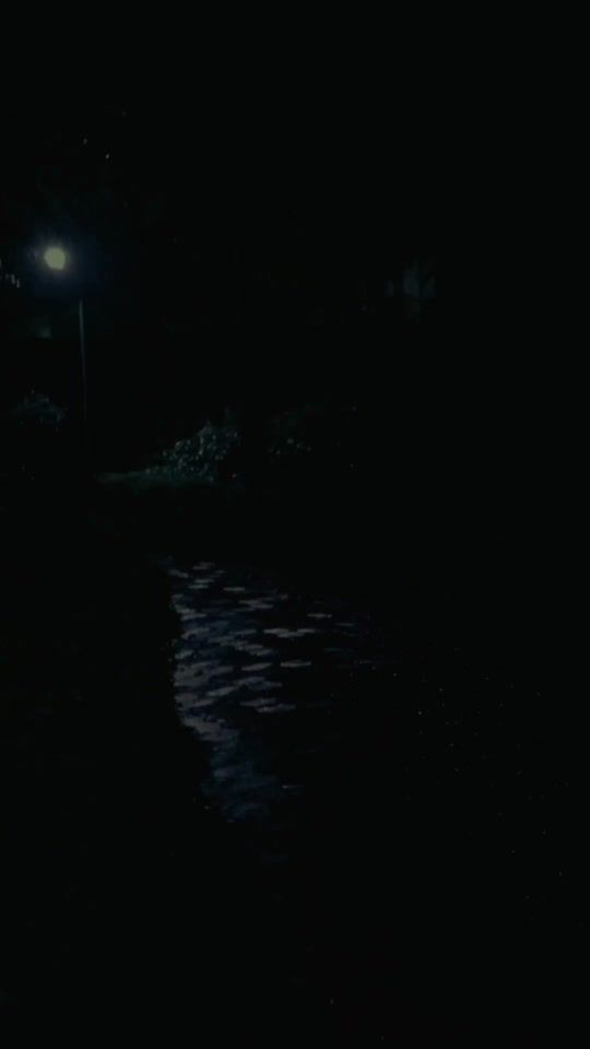 TikTok video thumbnail by wasivibe