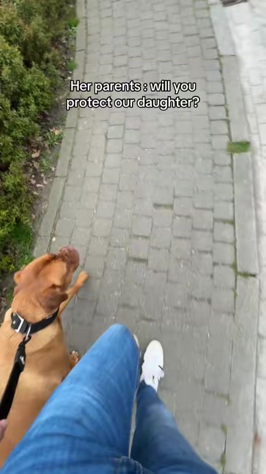 TikTok video thumbnail by discodrivernico