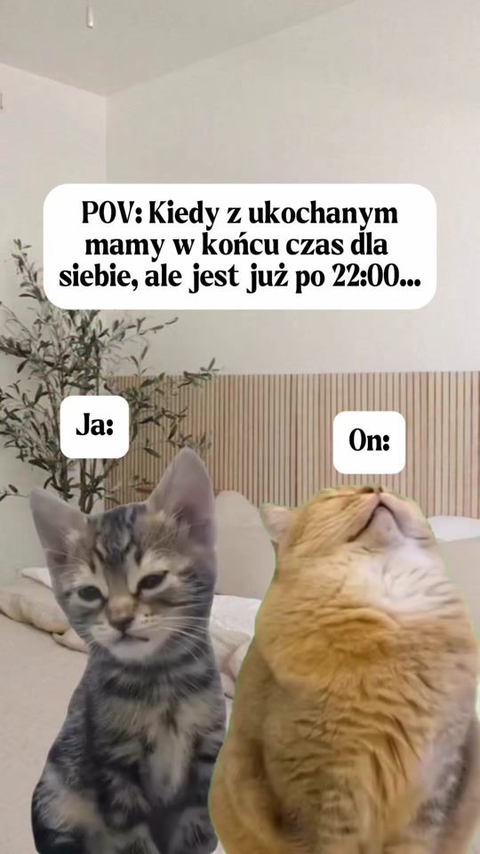 TikTok video thumbnail by edyta_z_littlestar