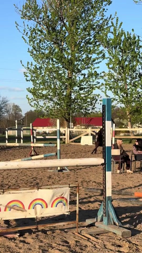 TikTok video thumbnail by drobna.equestrian