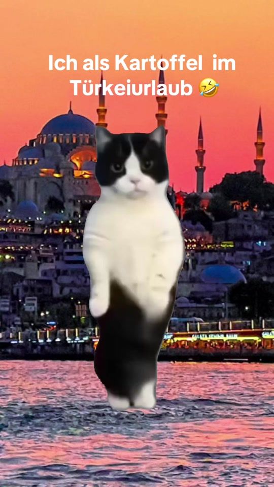 TikTok video thumbnail by momo.19.08
