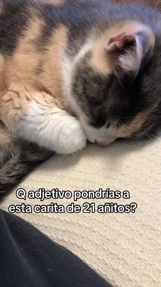 TikTok video thumbnail by simbilla0