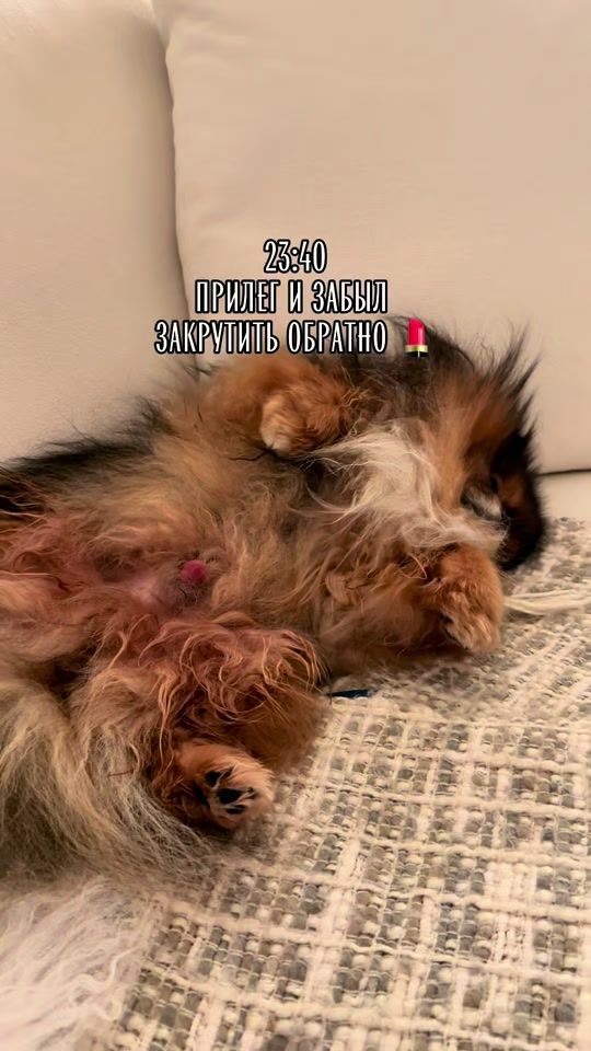 TikTok video thumbnail by tanja_mareev