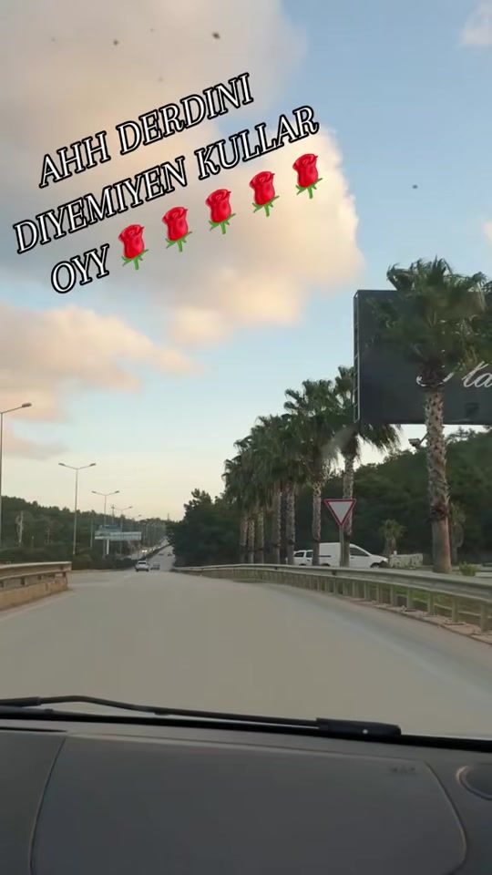 TikTok video thumbnail by sonn.baharr