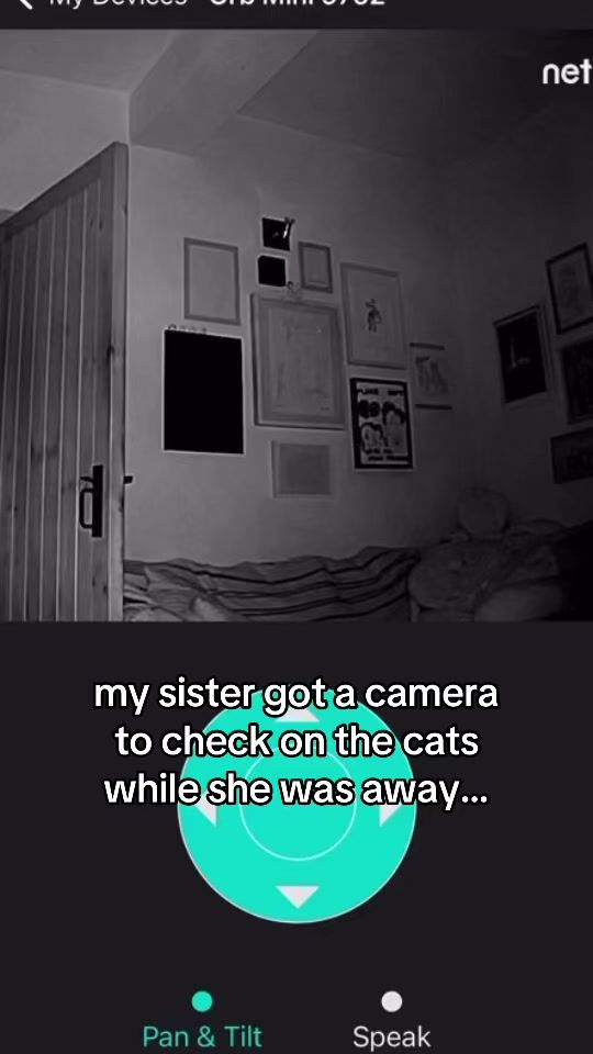 TikTok video thumbnail by sylviehastings