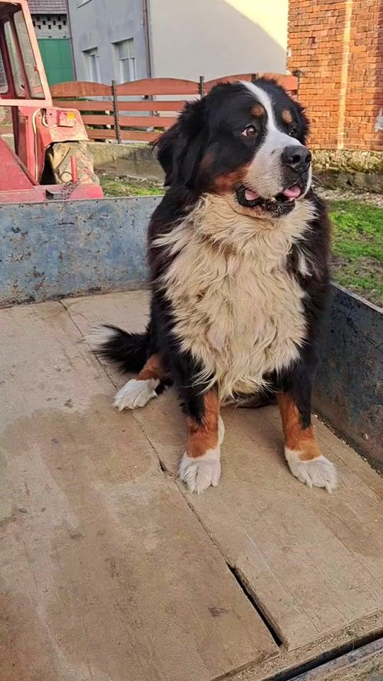 TikTok video thumbnail by mladengonzi83