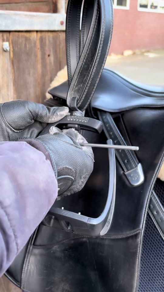 TikTok video thumbnail by dutch.equestrian.nl