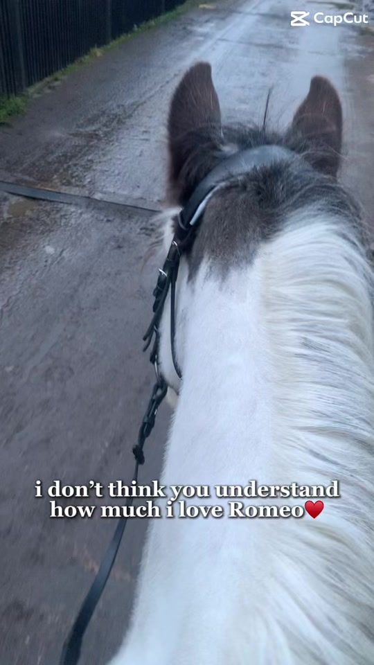 TikTok video thumbnail by macie2673