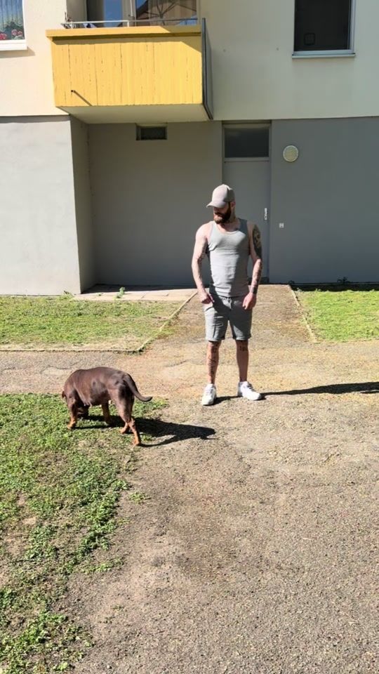TikTok video thumbnail by lansches