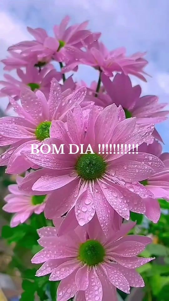 TikTok video thumbnail by helena.lus4