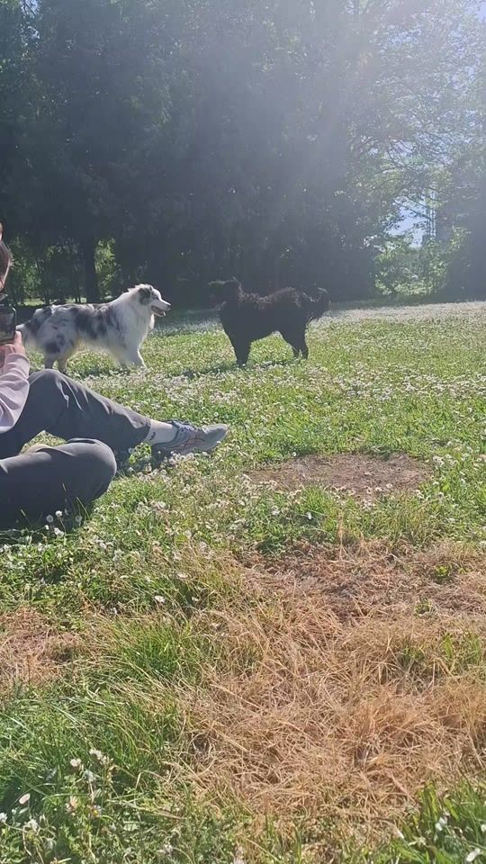 TikTok video thumbnail by slave123slave