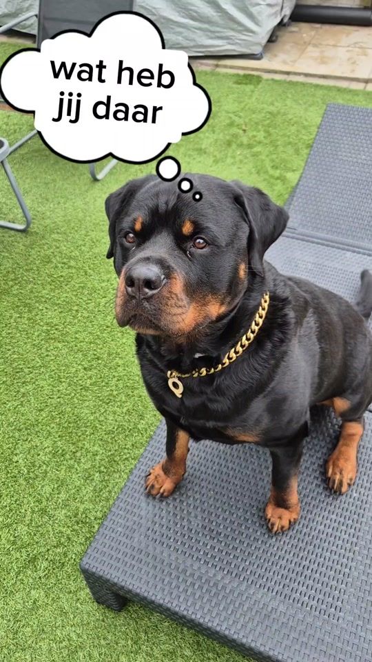 TikTok video thumbnail by miralkorkmaz