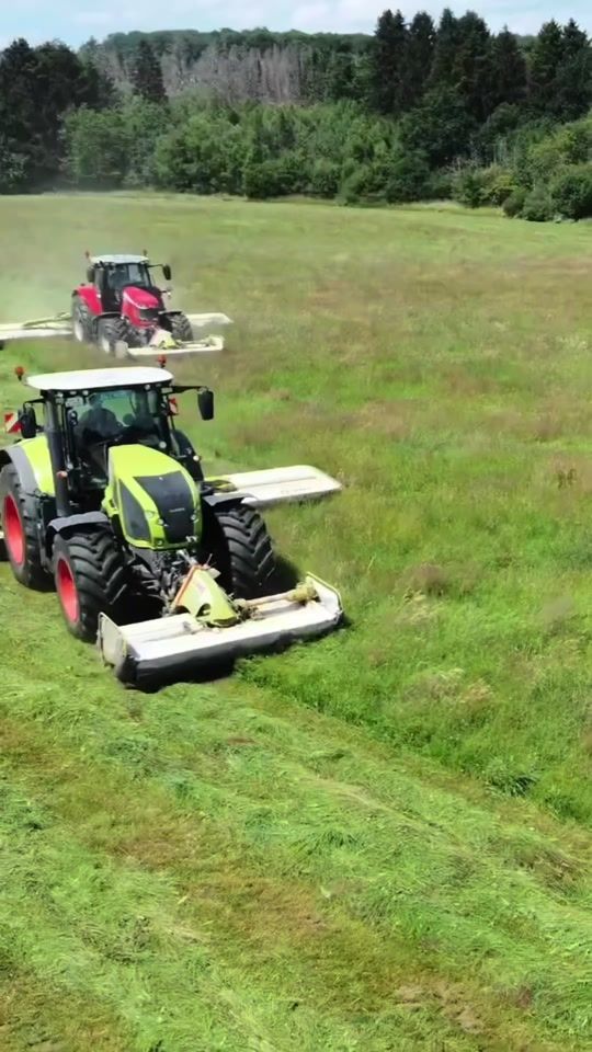 TikTok video thumbnail by stephan.landwirtschaft