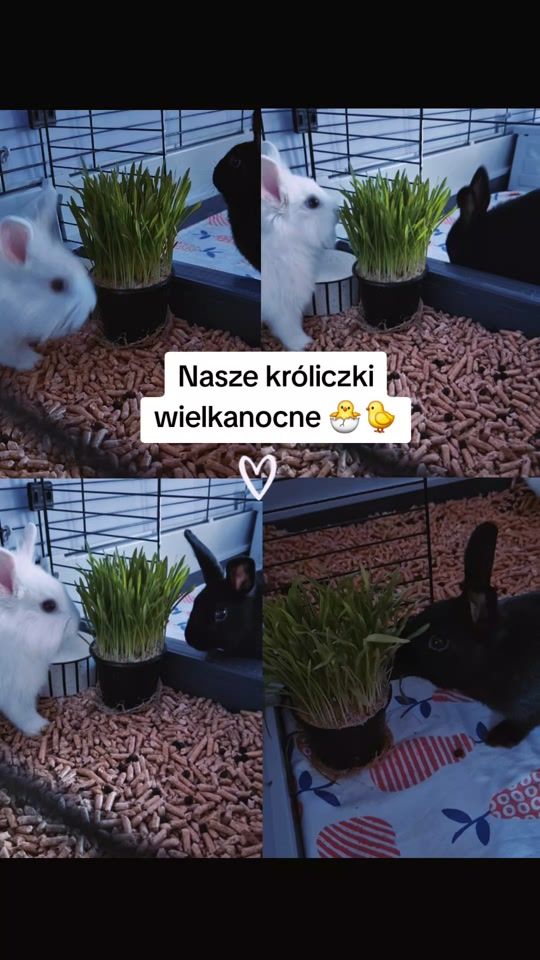TikTok video thumbnail by nataliaaa0804