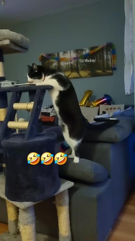 TikTok video thumbnail by paulina.kinga