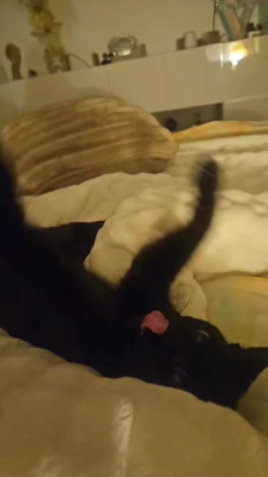 TikTok video thumbnail by nsfn6324tth