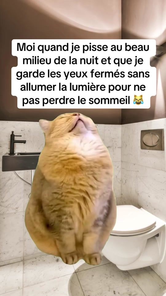 TikTok video thumbnail by sarahaffouda1