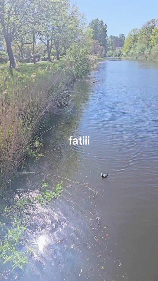 TikTok video thumbnail by fatiizerrad