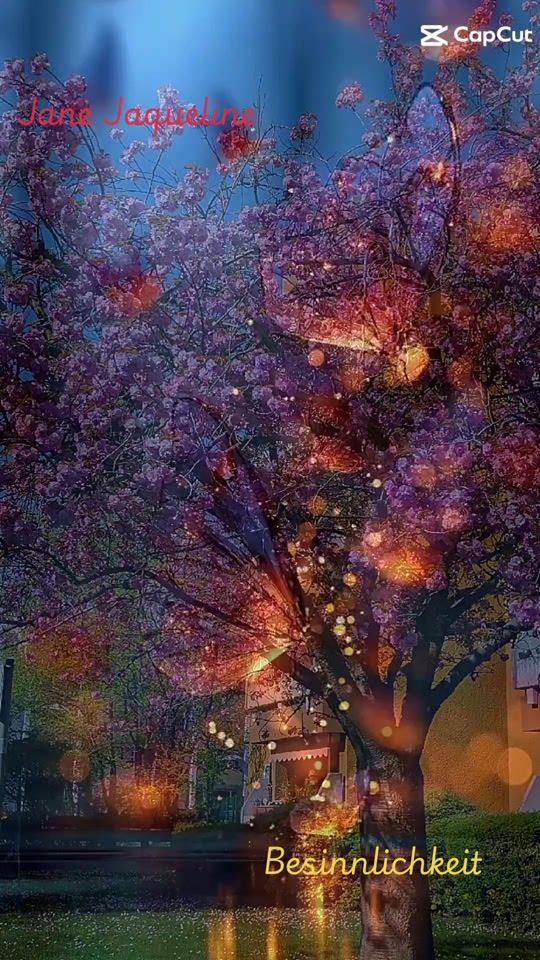 TikTok video thumbnail by dyi6j862c6r1